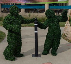 hedge people1