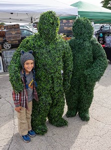 hedge people