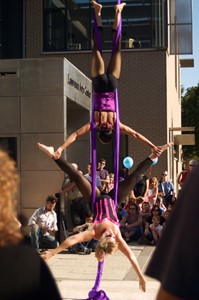 Busekrfestival11